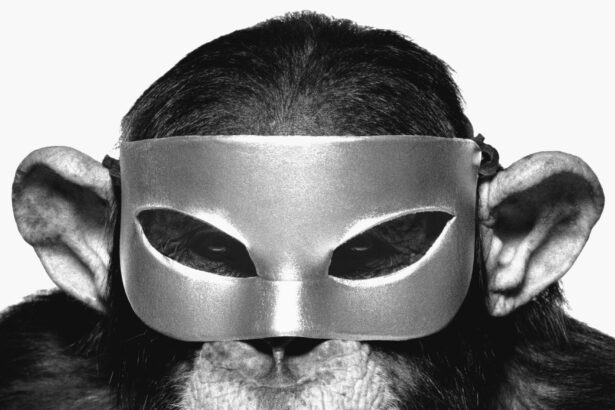Albert Watson: Monkey With Mask, New York, 1992 (Foto: TASCHEN Verlag/Albert Watson)