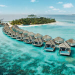 Kulinarische Genüsse im Nova Maldives